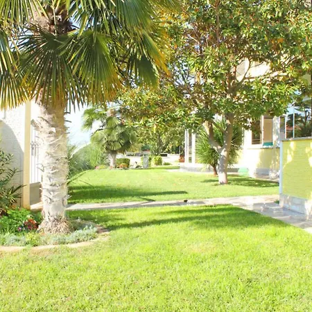 Minella Daire
