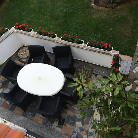 Minella Daire